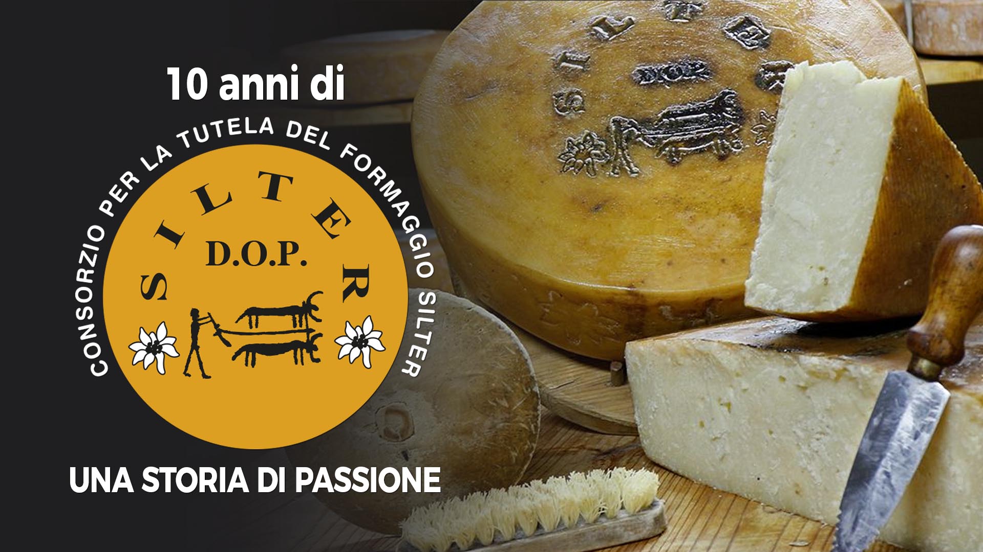 10 anni di Silter D.O.P. Una storia di passione.